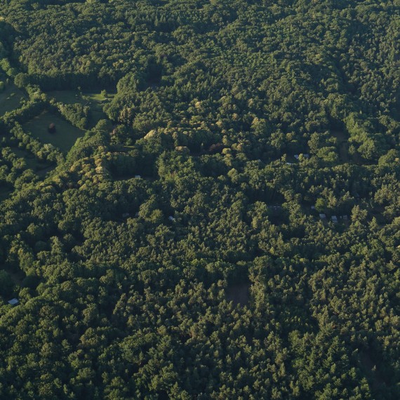 Ballonvlucht over het langoed op 5 juli 2017 Ballonvlucht over het langoed op 5 juli 2017