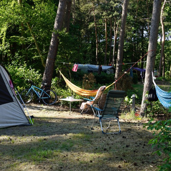 De dag van vertrek langer blijven............ De dag van vertrek langer blijven............