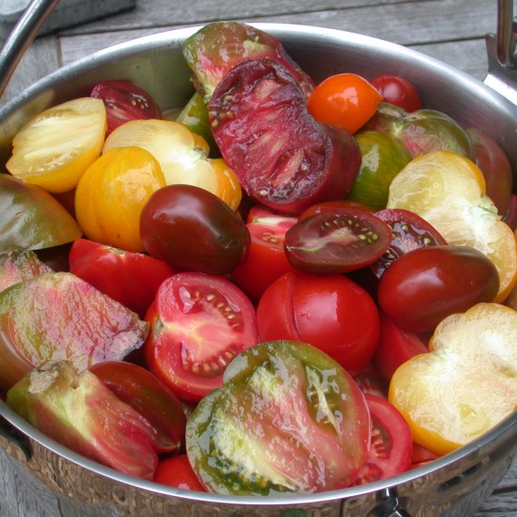 Gezonde onbespoten courgettes, bio muntthee....