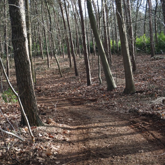 Natuurcamping Natuurcamping