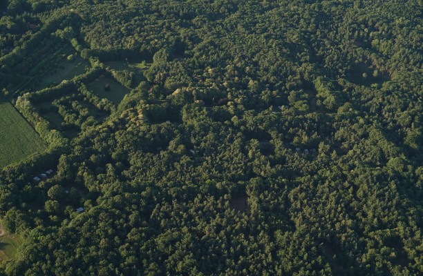 Nog meer foto's vanuit de luchtballon.