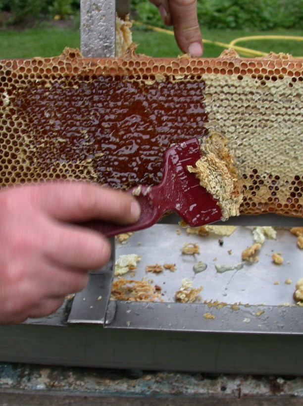 Honing van het landgoed.